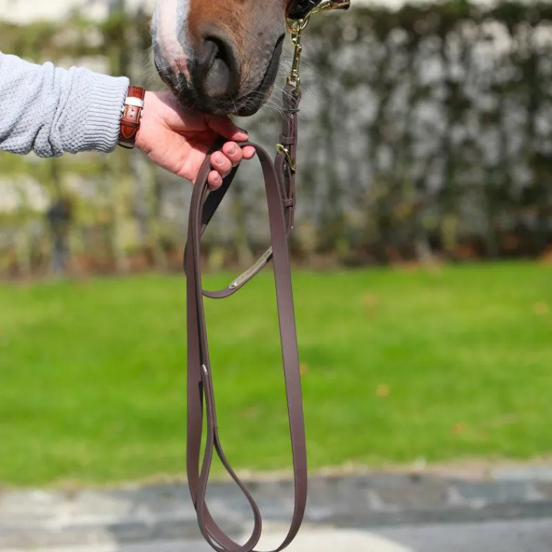 Élevage|Longes De Présentation*Kentucky Horsewear - Longe de présentation