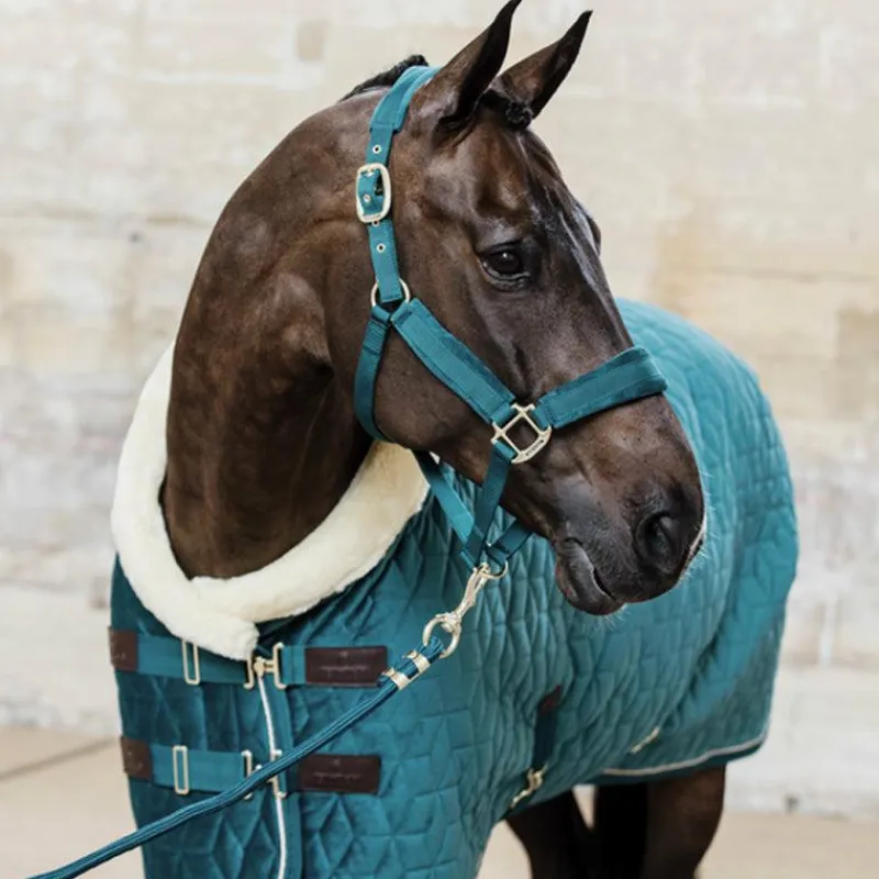 Best - Longe nylon 2m Velvet émeraude Longes Classiques