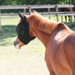 Clearance - Masque anti-mouches Slim Fit poneys Collection 