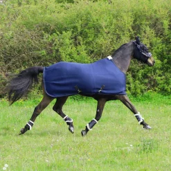 Masques Anti-Mouches|Masques Anti-Mouches*Kentucky Horsewear - Masque anti-mouches Slim Fit Noir