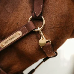 Accessoires De Licols*Kentucky Horsewear - Médaille de licols/bridons