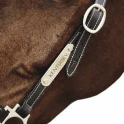 Accessoires De Licols*Kentucky Horsewear - Plaque pour licol Or