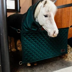 Portes Et Tentures De Box*Kentucky Horsewear - Porte de box foncé Vert