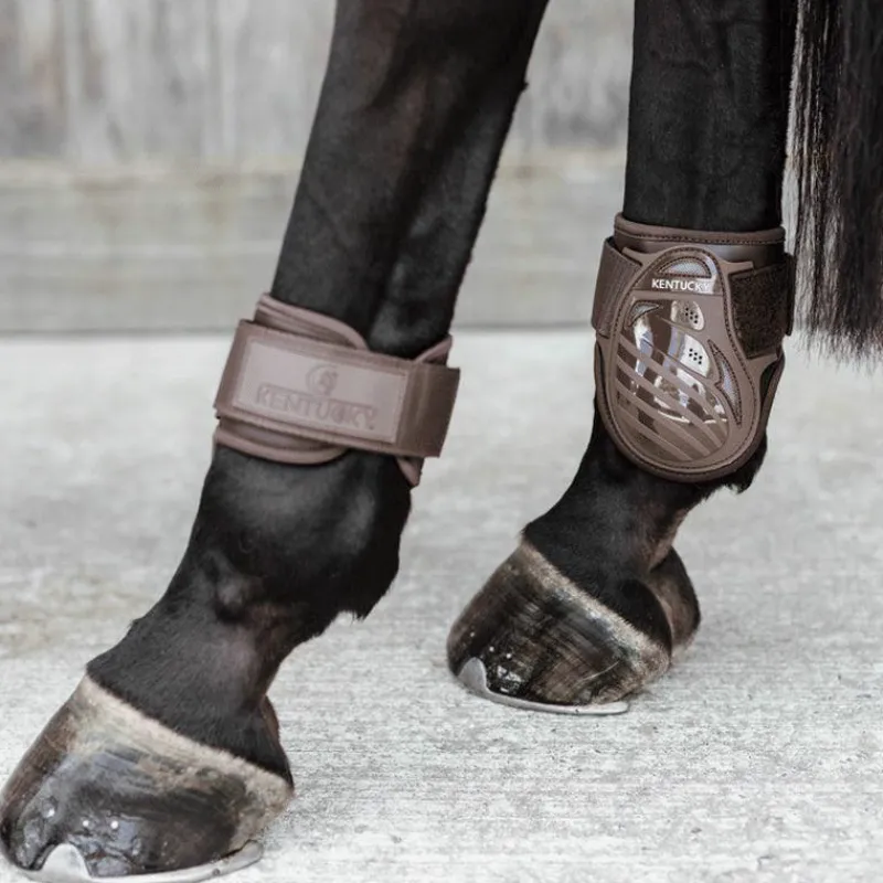 - Protège-boulets jeunes chevaux Protège-Boulets