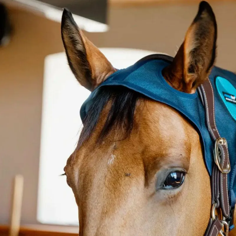 Outlet - Protège-nuque magnétique Recuptex Accessoires De Bridon