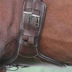 Clearance - Sangle bavette courte Concours Complet D'Equitation|Bavettes