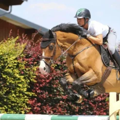 - Sangle bavette Concours Complet D'Equitation|Bavettes