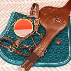 - Sangle bavette Concours Complet D'Equitation|Bavettes