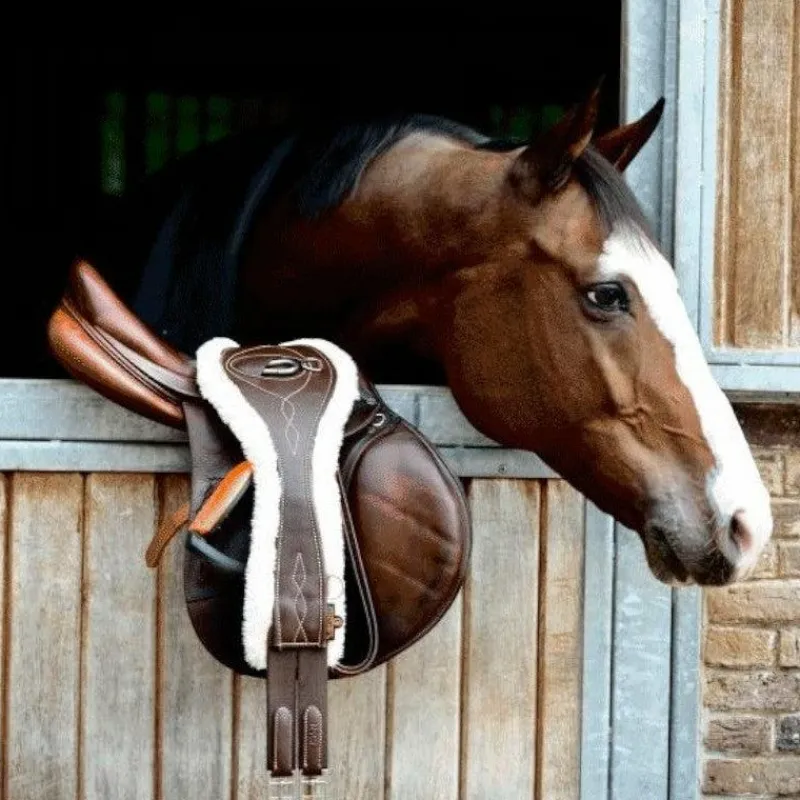 Sangles Classiques*Kentucky Horsewear - Sangle anatomique mouton Marron