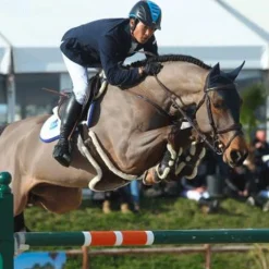 Sale - Sangle bavette mouton Concours Complet D'Equitation|Bavettes