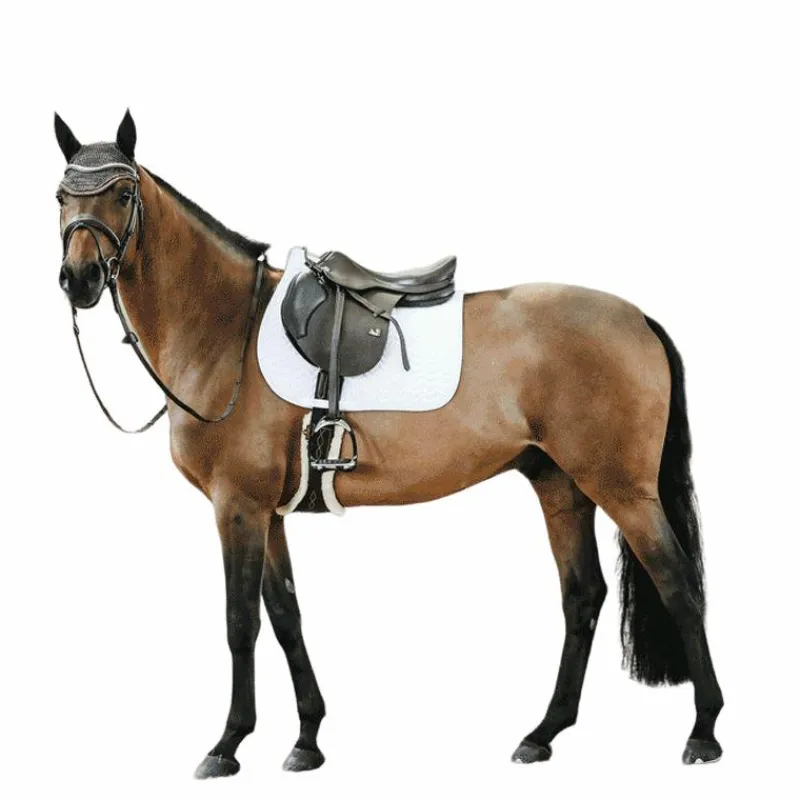 Tapis Cso/ Mixtes|Tapis De Selle*Kentucky Horsewear - Tapis de selle Fishbone Blanc