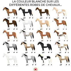 Hot - Tapis de dressage Basic Dressage|Tapis De Dressage