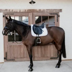 Online - Tapis de dressage Glitter Rope Dressage|Tapis De Dressage