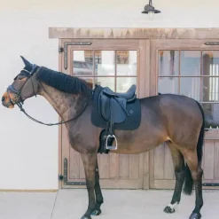 Tapis De Dressage|Tapis De Selle*Kentucky Horsewear - Tapis de dressage Metal Chain Noir