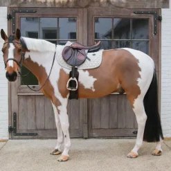 New - Tapis de selle Melange Tapis Cso/ Mixtes|Tapis De Selle