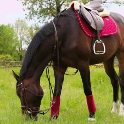 Tapis De Selle|Tapis Cso/ Mixtes*Kentucky Horsewear - Tapis de selle Velvet jumping Fuchsia Rose