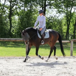 Casques D'Équitation À Visière Polo|Casques D'Équitation*KEP - Casque d'équitation Cromo Shine visière polo Marine