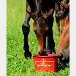 Best - Complément alimentaire pour sabots Hoof Formula Poulains|Juments