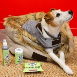 Hot - Shampoing solide pour chiens Shampoings|Shampoings Pour Chevaux