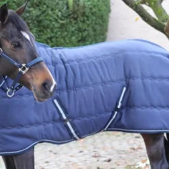 Clearance - Couverture d'écurie Stable Master 240g Couvertures Et Chemises