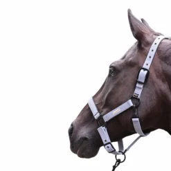 Licols Poneys*Lami-cell - Licol Midnight ardoise Bleu