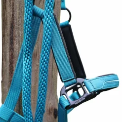 Longes Classiques*Lami-cell - Longe d'attache Charming turquoise Bleu
