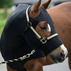Best - Protection de cou en lycra Couvertures Poneys|Couvertures Et Chemises