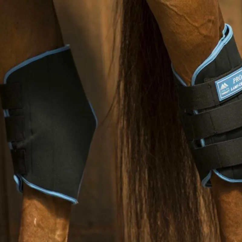 Clearance - Protège-jarrets Ice Boots x2 Accessoires De Massages|Guêtres De Froid