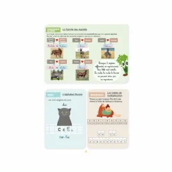 Outlet - Cahier d'activités sur le thème du cheval niveau CM2 Librairie