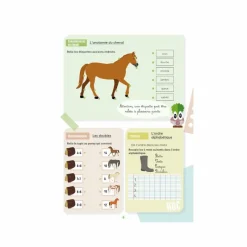 - Cahier d'activités sur le thème du cheval niveau CP Librairie