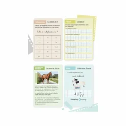 New - Cahier d'activités sur le thème du cheval niveau CE2 Librairie