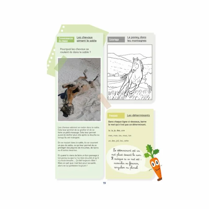 Librairie*Lavauzelle - Cahier d'activités sur le thème du cheval niveau CE1 Bleu