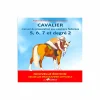 Librairie*Lavauzelle - Cavalier manuel de préparation aux examens fédéraux 5, 6, 7 et degré 2