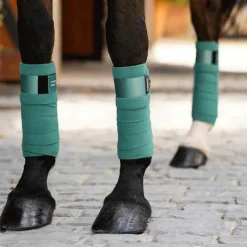 Bandes De Polo*LeMieux - Bande de polo Loire Sage vert (x4)