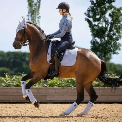 Bandes De Polo*LeMieux - Bandes de polo Classic mist (x4) Bleu