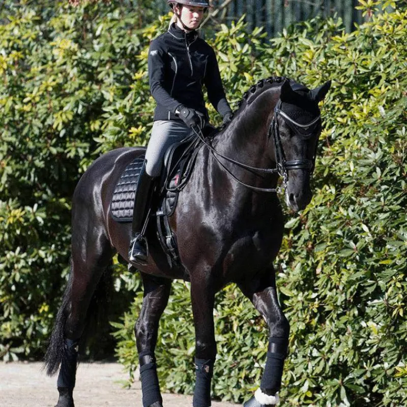 Outlet - Bandes de polo Loire (x4) Bandes De Polo