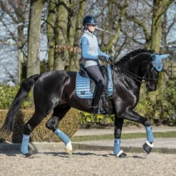 Clearance - Bandes de polo Loire Ice Blue (x4) Bandes De Polo