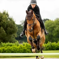 Clearance - Bonnet pour chevaux Crystal Bonnets Pour Chevaux