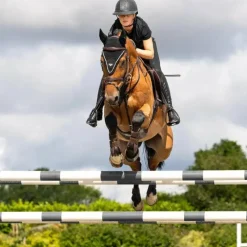 Online - Bonnet pour chevaux long Puissance Bonnets Pour Chevaux