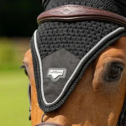Online - Bonnet pour chevaux long Puissance Bonnets Pour Chevaux