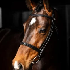 Online - Bridon Arika Cavesson / argent Bridons Poneys|Bridons