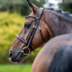 Bridons Poneys|Bridons*LeMieux - Bridon Arika Cavesson / argent Marron
