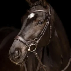 Bridons Poneys|Bridons*LeMieux - Bridon Arika muserolle basse / argent Marron