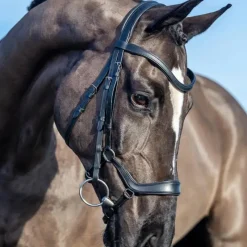 Sale - Bridon Arika muserolle basse / argent Bridons Poneys|Bridons