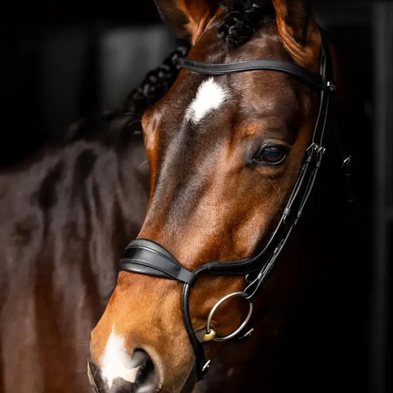 Bridons Poneys|Bridons*LeMieux - Bridon Arika muserolle anatomique / argent Noir