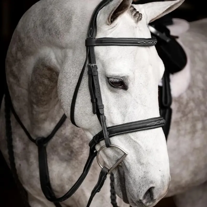- Bridon avec rênes Hunter / argent Bridons Poneys|Bridons