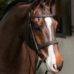 New - Bridon avec rênes Hunter havane/ argent Bridons Poneys|Bridons