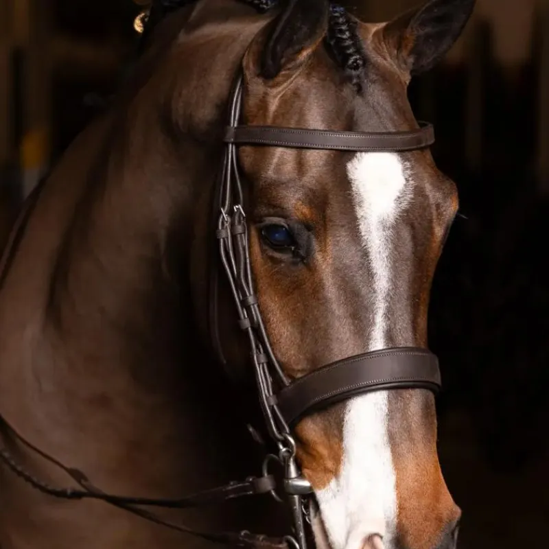 Bridons Poneys|Bridons*LeMieux - Bridon avec rênes Flat Hunter havane/ argent Marron