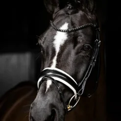 Bridons Poneys|Bridons*LeMieux - Bridon de dressage Kudos Patent / blanc Noir