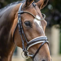 Outlet - Bridon de dressage Kudos Patent / blanc Bridons Poneys|Bridons